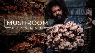 Cultivating Gourmet and Medicinal Mushrooms  PARAGRAPHIC [upl. by Aja]