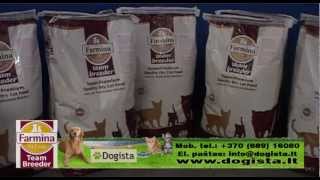 FARMINA  Team Breeder dog and Cat foods [upl. by Selegna408]