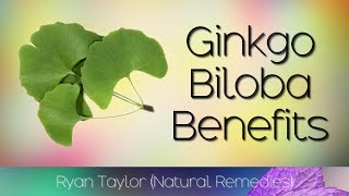 Ginkgo Biloba Benefits for Health [upl. by Elroy654]