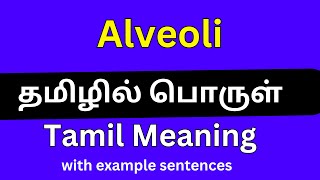 Alveoli meaning in TamilAlveoli தமிழில் பொருள் [upl. by Nilknarf]