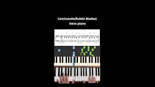 CaminandoRubén Blades  Intro piano [upl. by Vil624]