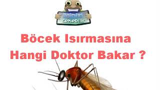 Böcek Isırmasına  Sokmasına Hangi Doktor Bakar [upl. by Ruffi737]