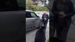 BC man has very close encounter with black bear [upl. by Gazo300]