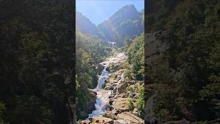 Spectacular Ravana Waterfalls  Ella  Sri Lanka 🇱🇰 youtube shorts viralvideo [upl. by Heim412]