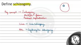 Define schizogony [upl. by Lenhard]