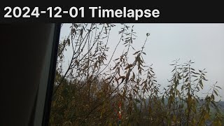 20241201 Timelapse [upl. by Demaria]