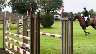 Fellside Don Zee 5th 110 hickstead 040924 [upl. by Lynelle]