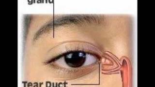 Bells Palsy  Protect Your Eyes  Punctal Plugs [upl. by Ramad45]