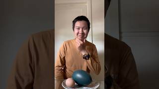 Boiled Emu egg 🥚⏲️🍳 asmr [upl. by Daria]