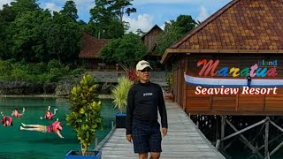 Wow Keindahan Wisata Yang Luarbiasa Seaview Resort Maratua Island Kalimantan Timurdestinasiwisata [upl. by Siraved]