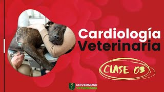 CARDIOLOGÍA VETERINARIA  CLASE 03 [upl. by Emyaj40]