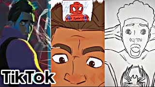 SpiderMan Across The Spiderverse Tiktok memes Spoilers [upl. by Meesaw]