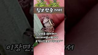 보석처럼 반짝이는 눈의 주인공 [upl. by Egroeg]