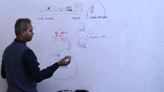 Immunology Neutrophil Lecture 3 Part 11 [upl. by Egief]