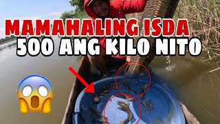 Nagulat kami sa laman ng aming trap grabe ang pumasok at mamahalin isda ang laki [upl. by Nedi]