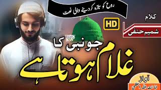 Khubsurat New Naat e Paak 2024  جو نبی کا غلام ہوتا ہے  Voice Amanatullah Ezn Azmi [upl. by Damha]