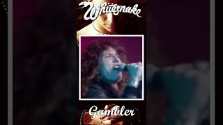 Whitesnake Gambler whitesnake [upl. by Aneerhs]