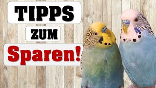 Wellis ZU TEUER Tipps zum Sparen [upl. by Minoru]