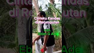 CINTAKU KANDAS DI RERUMPUTANcover ebiet g ade [upl. by Nahc]