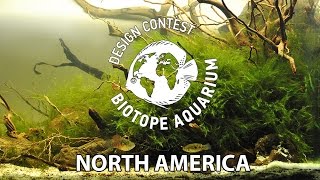 North America TOP 20 Biotope Aquaria [upl. by Curhan470]