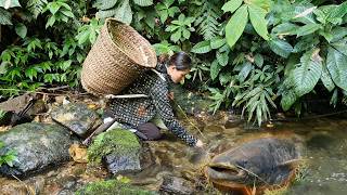 The Life of an Orphan Girl Harvesting Wild Vegetables and Catching Fish in the Forest [upl. by Yoong745]