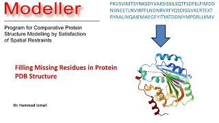 Missing Residue Filling Protein PDB  Modeller  Homology Modelling  Bioinformatics  Urdu  Hindi [upl. by Llewoh]