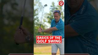 The basics of the golf swing explained shorts [upl. by Kentigera]