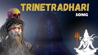 Trinetradhari  Vinayak Singh  Shiva Tatva [upl. by Ditter]