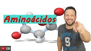 Aminoácidos  Ligações peptídicas  Bioquímica  Compostos orgânicos  Biologia com o tubarão [upl. by Gothurd]