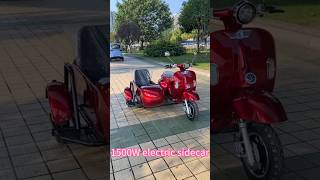 1500W 60V72V electric scooters with side car for adults dog person SideCarfodautocom [upl. by Yewed]