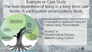 Nurs500 The Critical Emancipatory Approach to Practice [upl. by Yerfoeg]