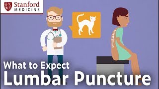 Lumbar Puncture Procedure – What to Expect [upl. by Ellehsyt918]