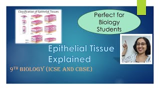 AnimalTissueEpithelialTissueTypesFunctionsICSECBSE9thBiology [upl. by Janene]