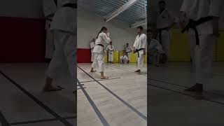 Part of a Godan Kata about performing MikatsuGERI [upl. by Scotti527]