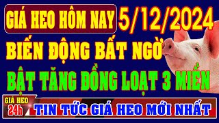 Giá heo hơi ngày 5122024  BIẾN ĐỘNG BẤT NGỜ GIÁ TĂNG ĐỒNG LOẠT CẢ 3 MIỀN [upl. by Maria]