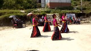 Danfe jhai nachne dance done by teacher of kundalinee at children day programme [upl. by Juxon]