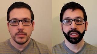 Creating a fake beard using hair building fibers [upl. by Adriene]