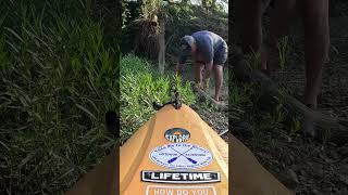 Collecting driftwood goprohero12 lifetimeproducts nature kayakingadventures kayakinglife [upl. by Augustus]