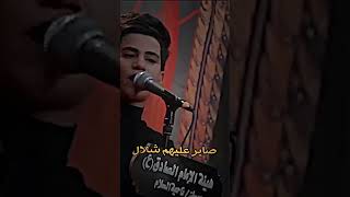 من كربله لحد كربله ما شفت بيكم رجال ستوري [upl. by Gussman]