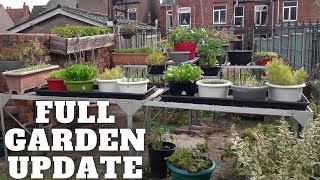 Full Gardening Allotment Update Gardening Allotment UK Grow Vegetables At Home [upl. by Stubbs816]