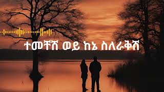 Temechesh wey  Alemayehu Hirpo  ተመቸሽ ወይ  አለማየሁ ሂርጶ  Lyrics Video  ግጥም ቪዲዮ  90s  የዘጠናዎቹ [upl. by Narut94]