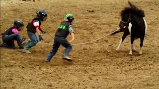 Wild Pony Races  Fort Dodge IA [upl. by Sofko593]