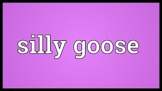 Silly goose Meaning [upl. by Xilef]