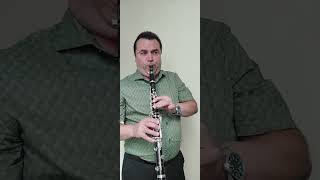 How to play Clarinet for Beginners Long Tones 🎷 [upl. by Arihsay]