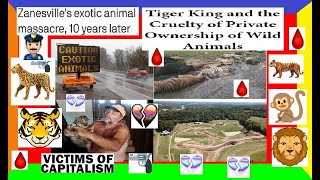 TRUE CRIME CASE PURE EVIL The Zanesville Animal Zoo Massacre 24 Hours Of TOTAL Chaos DEEPDIVE [upl. by Alegnaed]