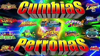 ⚡MIX CUMBIAS PERRONAS PARA BAILAR 2024🕺🏻💃🏻CUMBIAS SONIDERAS MIX GRUPO QUINTANNAJUJUYTEPOZ Y MÁS🥳 [upl. by Reffineg]