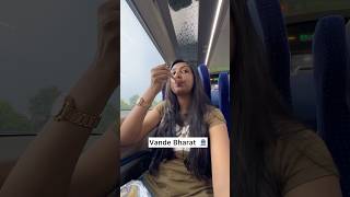 Vande Bharat Express vs Rajdhani Express 🤣  Whose Food is better 🥊 shorts foodchallenge viral [upl. by Eppesuig189]