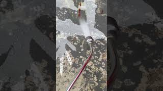 HOW TO SEAL CONCRETE BRICK PAVERS BLUESTONE LIMESTONE WITH A SOLVENT NATURAL PENETRATING SEALER wow [upl. by Esir]