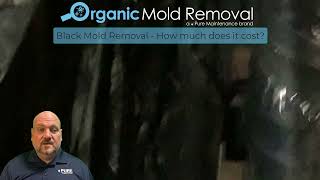 Black Mold Removal How Much Does It Cost [upl. by Nash]