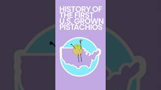 History of the First US Grown Pistachios foodfacts foodhistory [upl. by Bille]